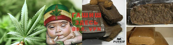 прущий лед Алзамай