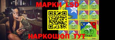 стаф Кунгур