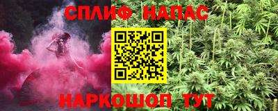 стаф Кунгур