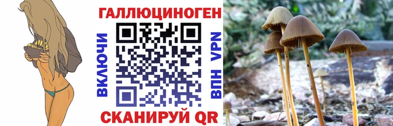 Псилоцибиновые грибы мухоморы  что такое наркотик  Киржач 