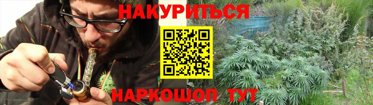 Шишки марихуана планчик  Конопля конопля  Вход с VPN  Киржач 